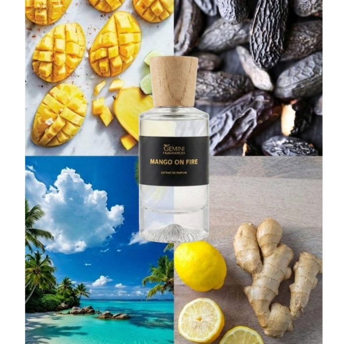 Mango on Fire - Image 2